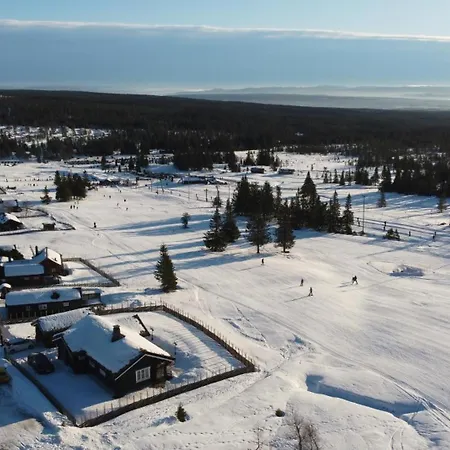 Harestua - Ski Inn/Ski Ut - Budor - 60 Min Osl Loten